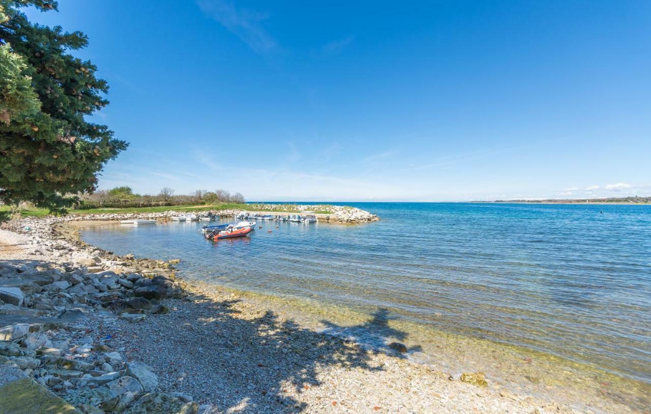 Apartment Valerio Novigrad Istria Eksteriør bilde