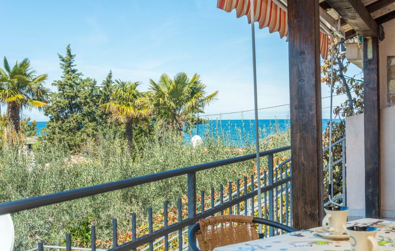 Apartment Valerio Novigrad Istria Eksteriør bilde